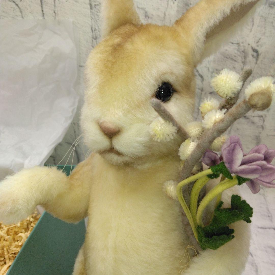 ジョンホワイト　ウサギ