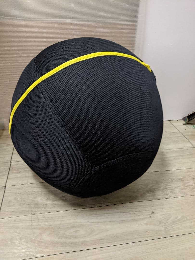 TECHNOGYM バランスボール