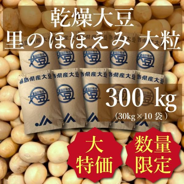 ☆数量限定☆大特価☆ 乾燥大豆 300kg 里のほほえみ 大粒 令和3年産