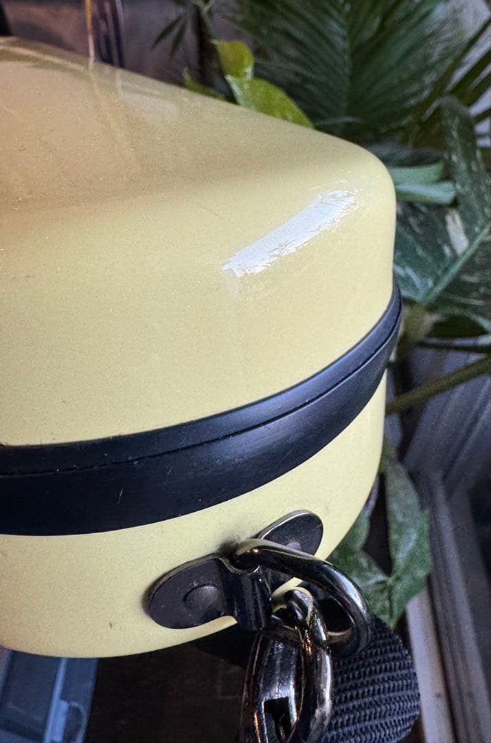 フルート用　CCシャイニーケースⅡ 現行品　イーストマン　パステルイエロー