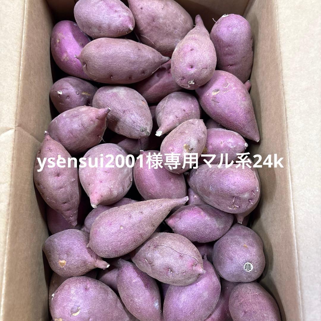さつまいも専用丸系24k