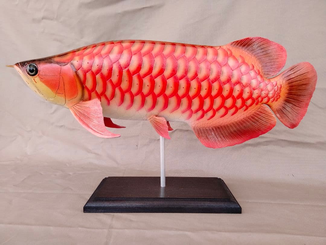 ハンドメイド　41cmアロワナ　レッド　フィギュア　レプリカ　熱帯魚　模型