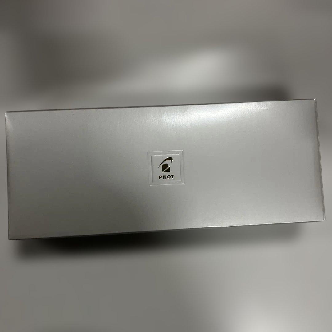 PILOT 万年筆 キャップレスSE MAG F マーブルグリーン