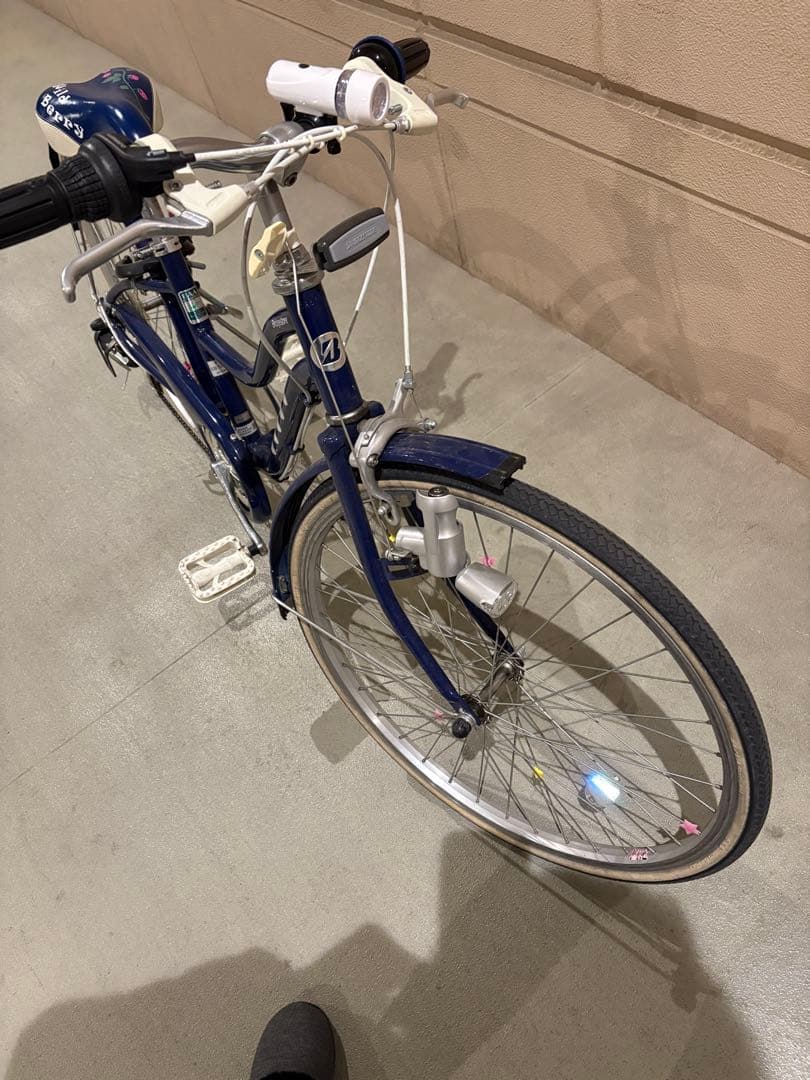 子供用自転車 ブリヂストン　Wild Berry 22インチ