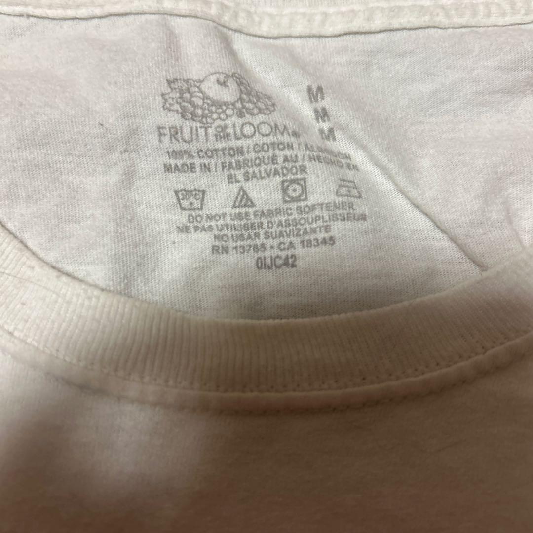 FRUIT OF THE LOOMTシャツ M MEGADETH 平成アメカジ