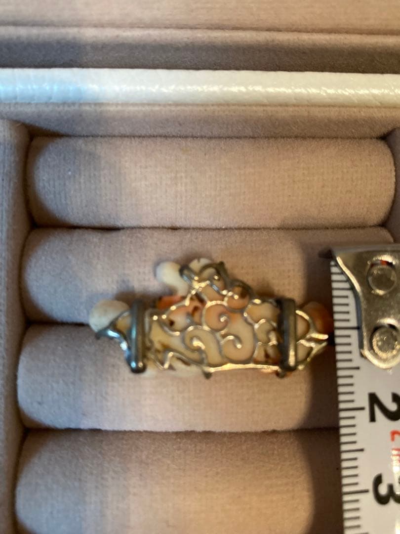 【激レア】本珊瑚　帯留　希少