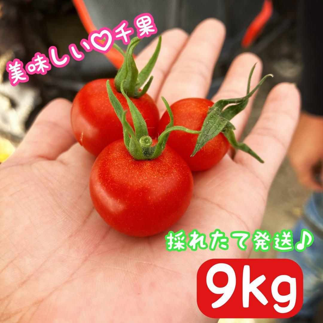 ⭐️SALE⭐️ミニトマト　9kg