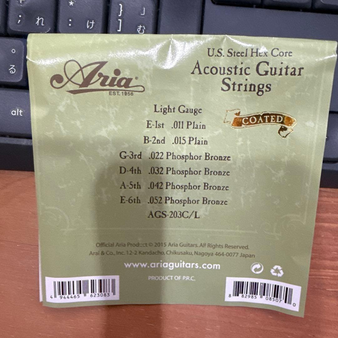 は*郎様 YAMAHA LS16 ARE（オール単板） 本体＋ギグバッグ