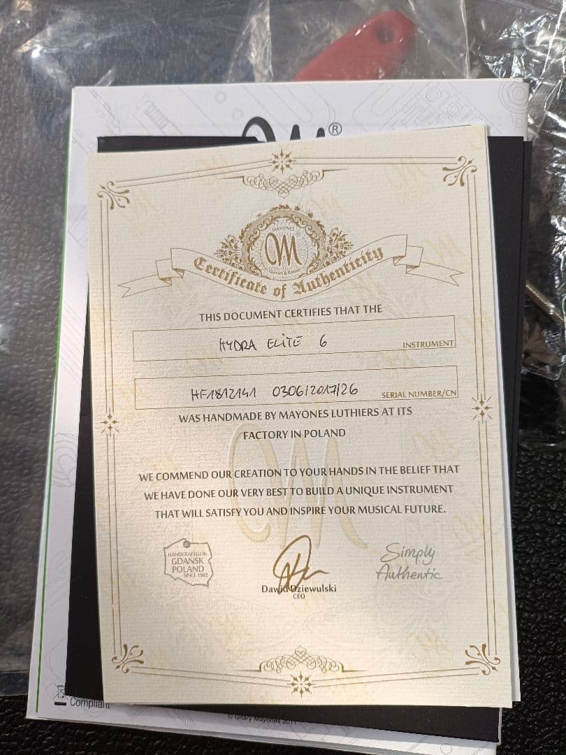 ギター Mayones Hydra