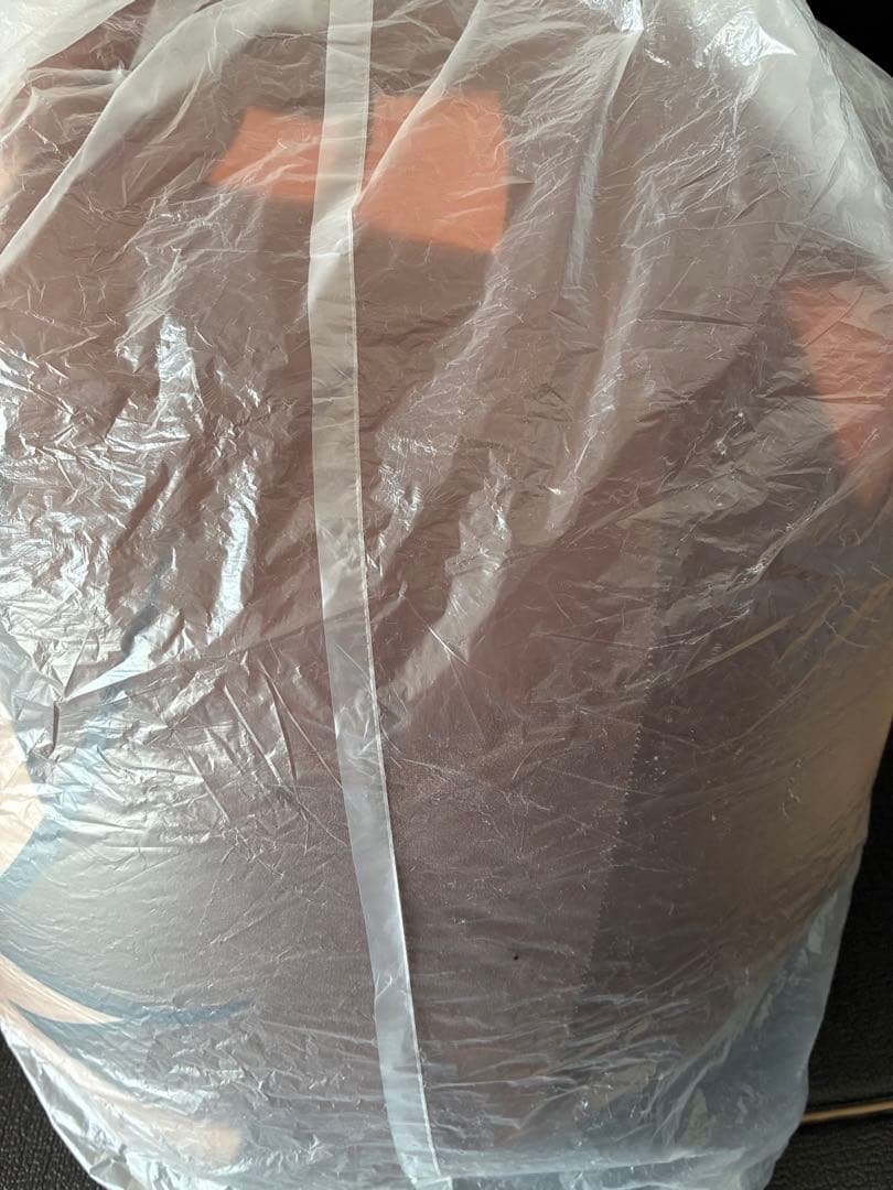 びっぐもちぷちまるっこソファクッション　大倶利伽羅