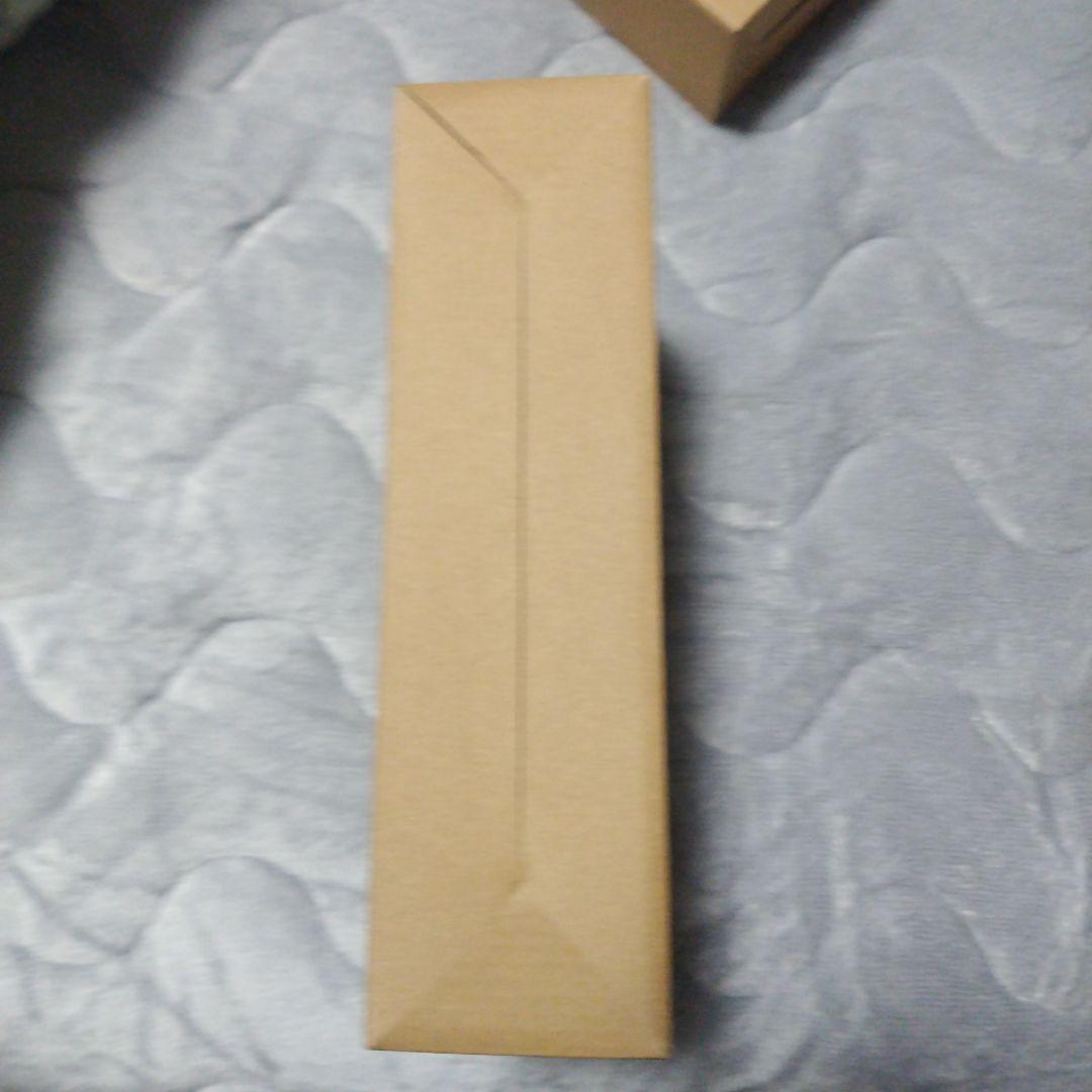 SHFiguarts仮面ライダー1号/本郷猛・サイクロン1号「NEXT」