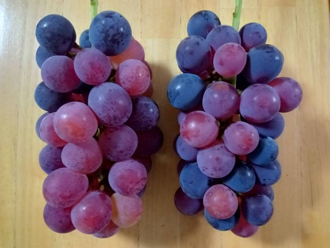 加工用 ぶどう 高妻 ピオーネ 粒 6kg 6キロ