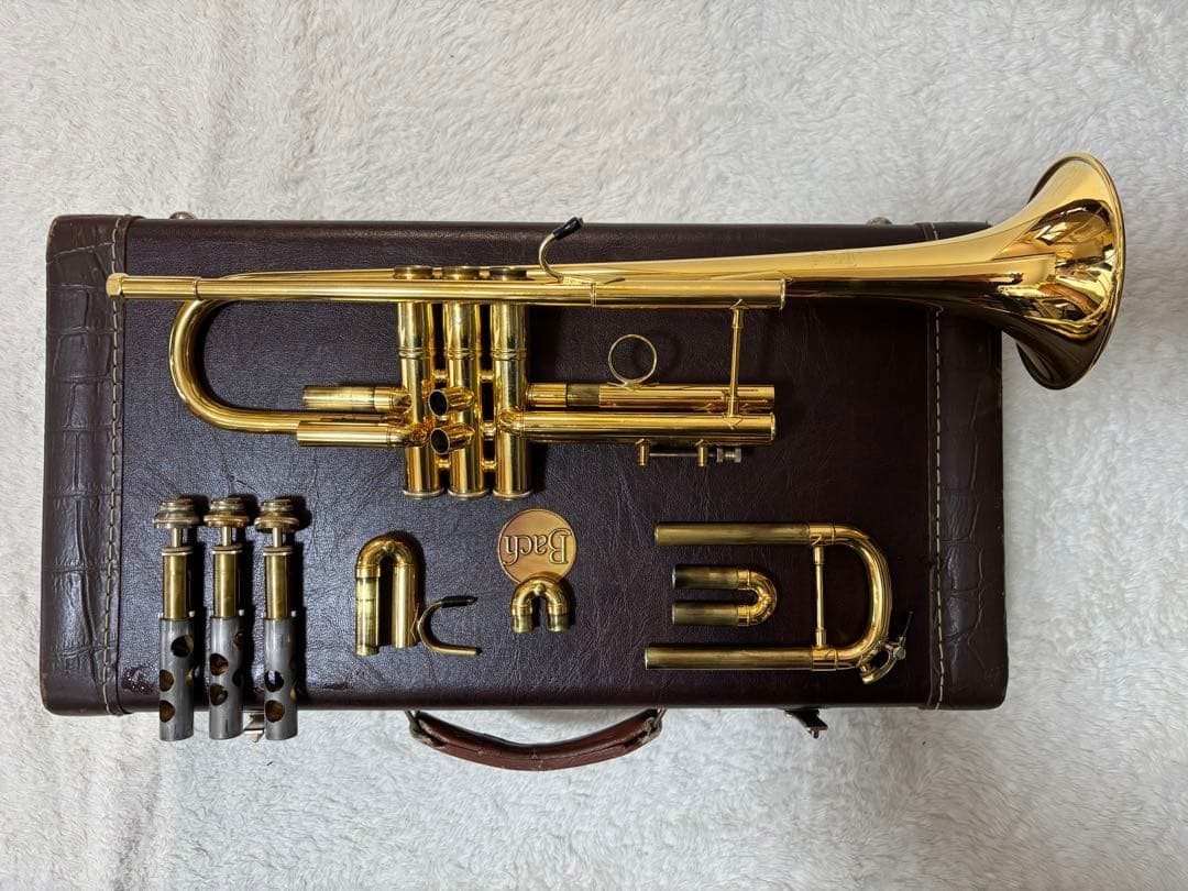 Bach LT180ML37⭐︎GP