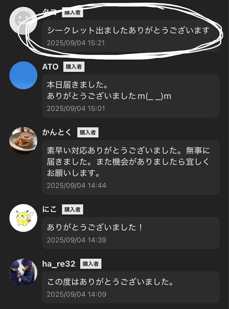 【正規品・未開封】Labubu Big into Energy 5箱