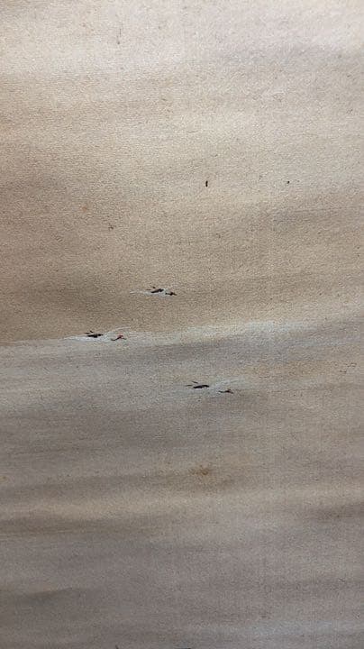 山本春挙　蓬莱山園　掛け軸　掛軸　共箱あり　二重箱 26