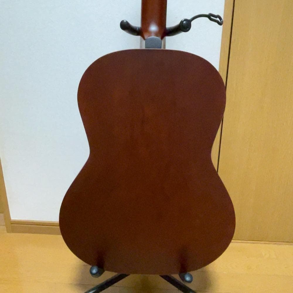 シーガル SEAGULL S6+FORK