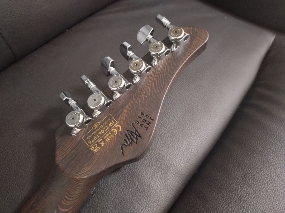 ギター Schecter AM-6