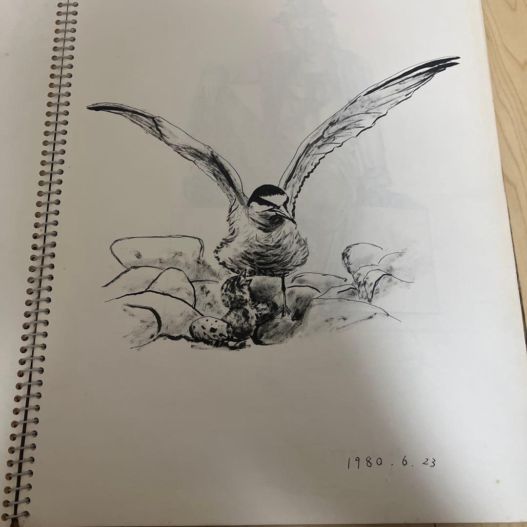 1980年代 絵画コレクション