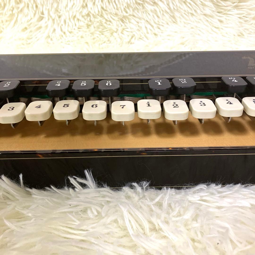 高級大正琴 ライリッシュ LSS25TH Lyrissh ソフトケース 和楽器