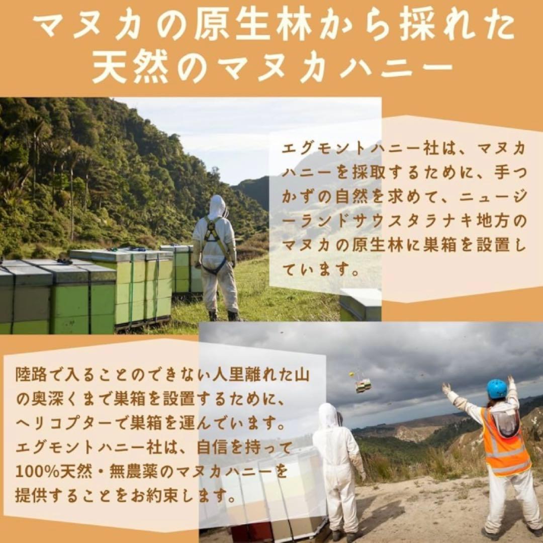 【希少な最高グレード】エグモント マヌカUMF25+/MGO1200+ 250g