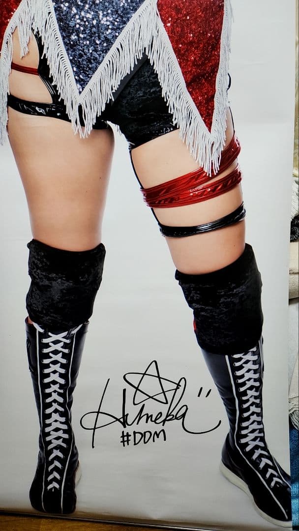 女子プロレス　スターダム　ひめか　等身大 タペストリー　中古品