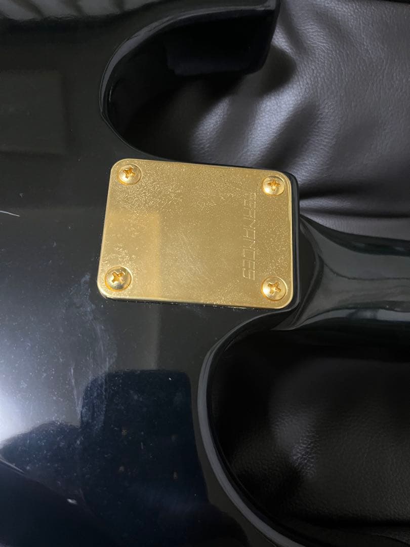 FERNANDES the function フェルナンデスギター　エレキギター