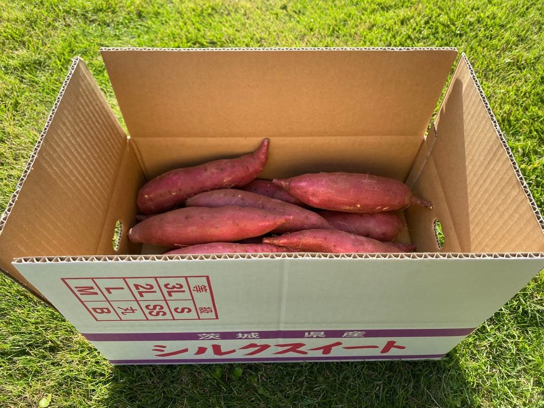 茨城県産紅はるか100キロシルク100キロ計200キロ　海花品