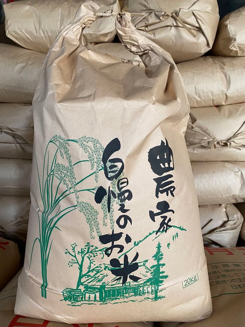 2025年（令和7年)夏収穫　コシヒカリ20キロ　精米済み白米　三重県産