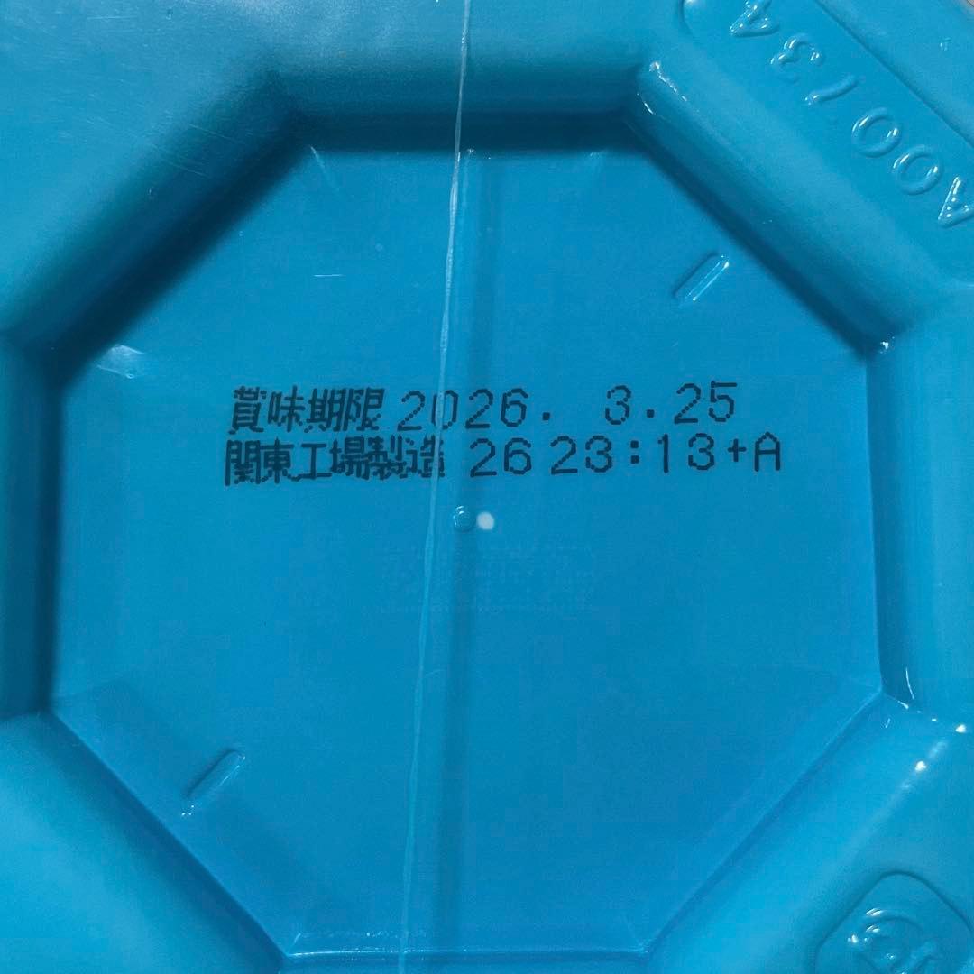 日清 ラ王 カップラーメン 詰め合わせ 45点