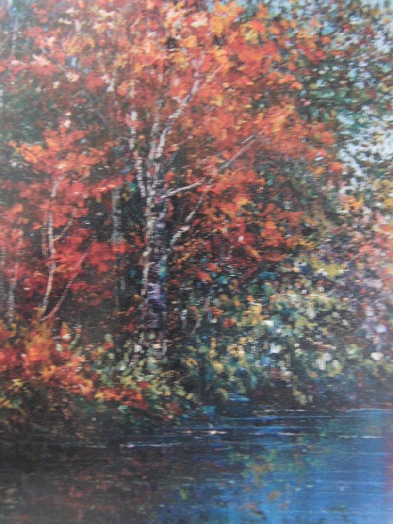 スイベル・ギュレー、【惑わせて美しく】希少な額装用画集より、新品額装付、状態良好