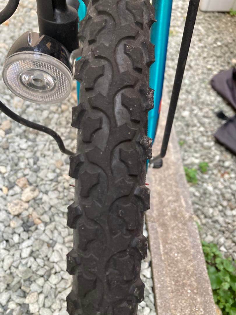 ブリヂストンエクスプレスジュニア 24インチ自転車