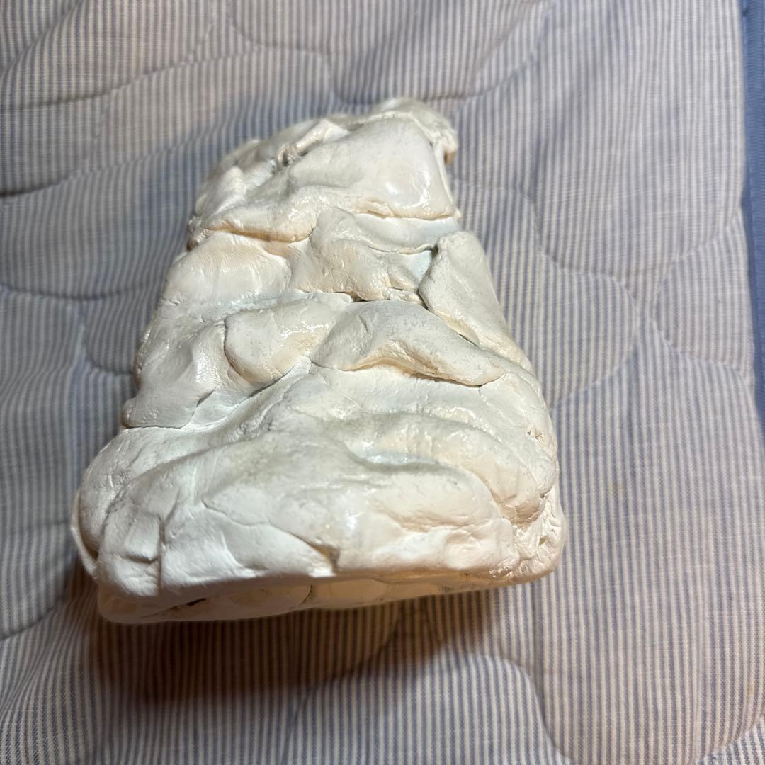 白色粘土のアート作品