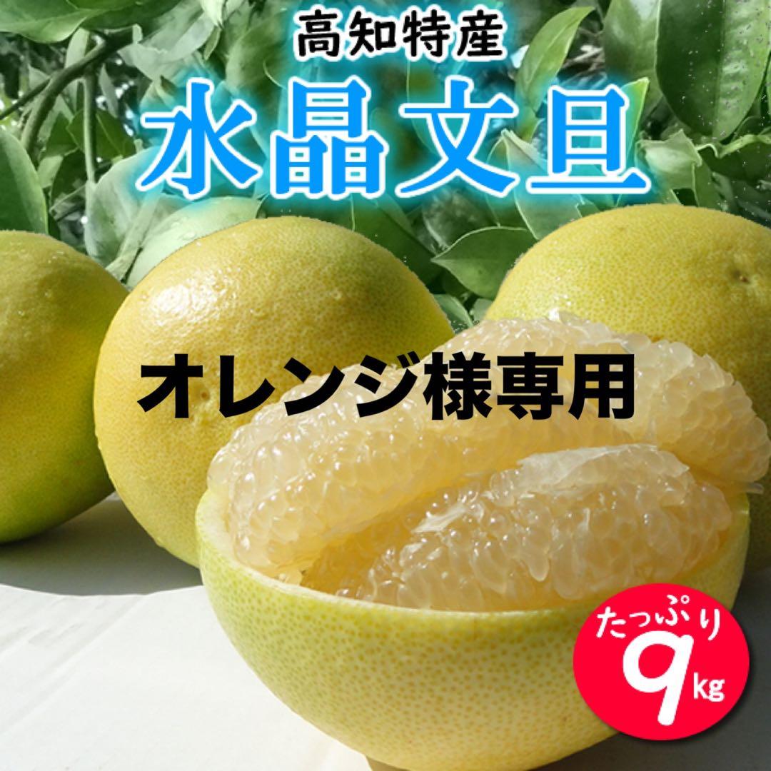 オレンジ　ご家庭用　高知特産　水晶文旦　サイズおまかせ　約9㎏