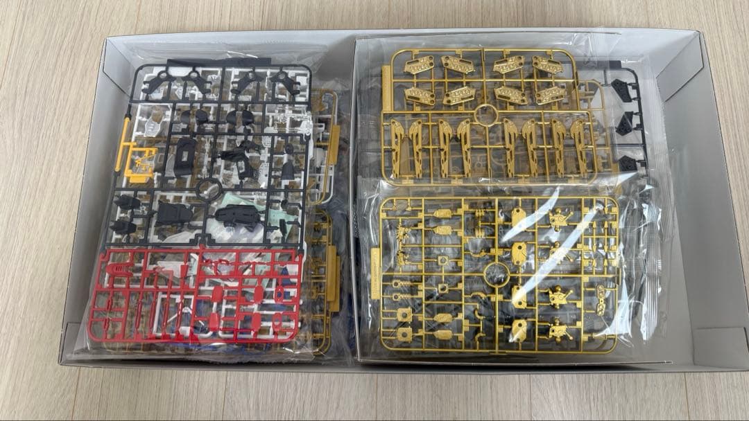 ＭＧ 1/100 ストライクフリーダムガンダム フルバーストモ