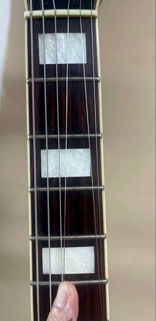 Ibanez トレモロ付きフルアコ　AFS75T-TRD-12-05