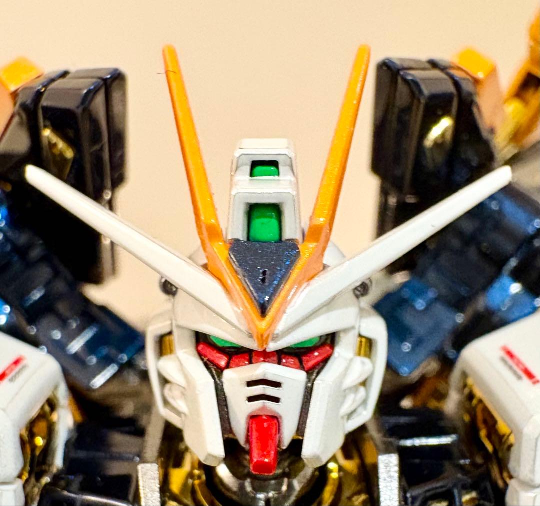 ※正月特価　全塗装RGストライクフリーダム　チタニウムフィニッシュ　ガンプラ