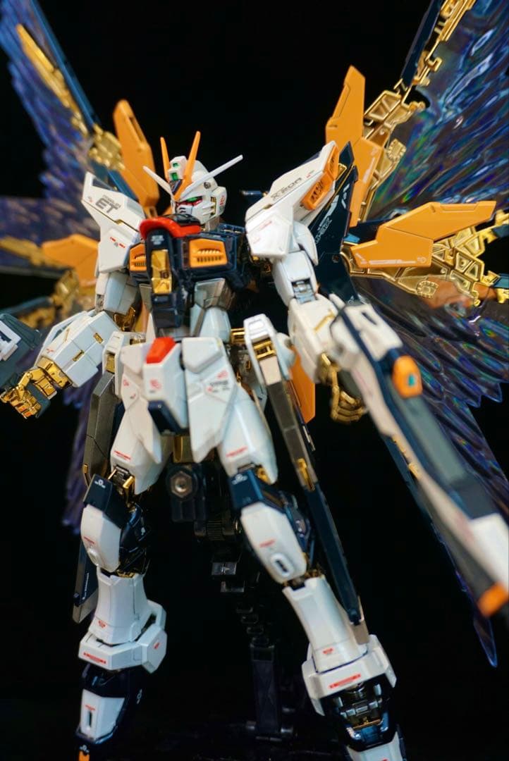 ※正月特価　全塗装RGストライクフリーダム　チタニウムフィニッシュ　ガンプラ