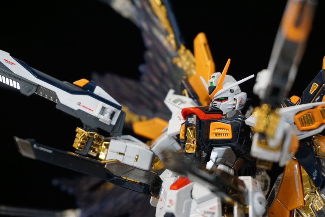 ※正月特価　全塗装RGストライクフリーダム　チタニウムフィニッシュ　ガンプラ