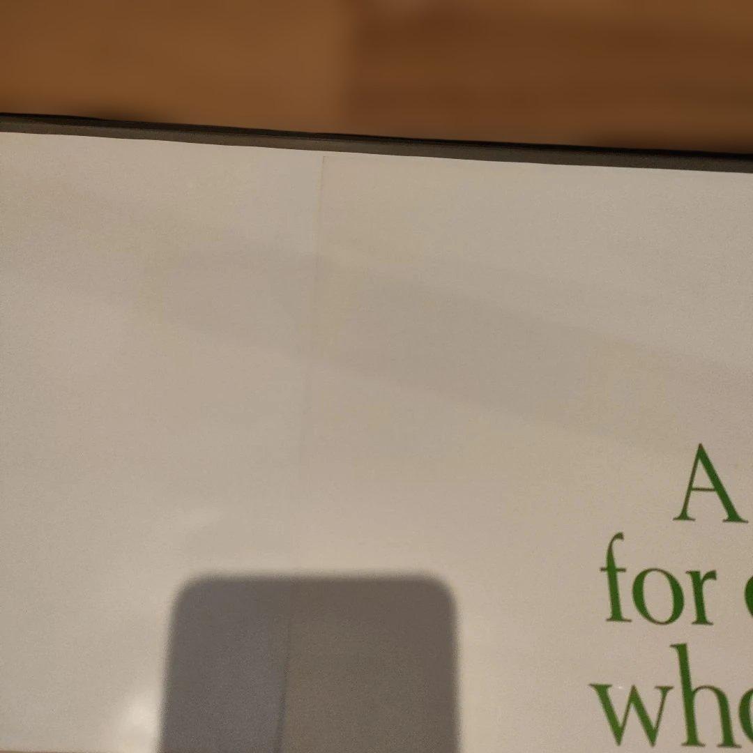 「アリスの恋」本国アメリカ版インサートサイズ　オリジナルポスター