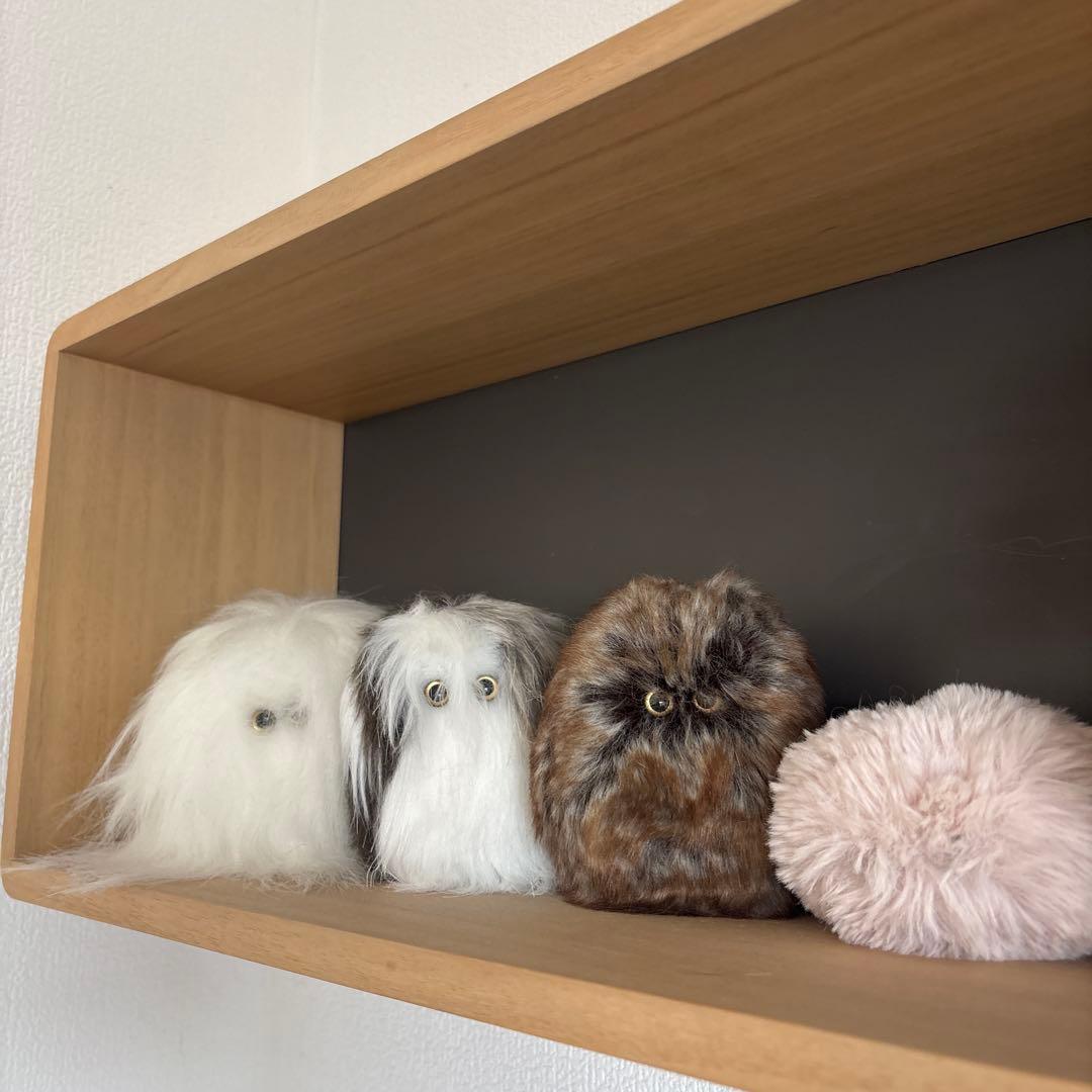 -光線- co-sen ぬいぐるみ セット販売