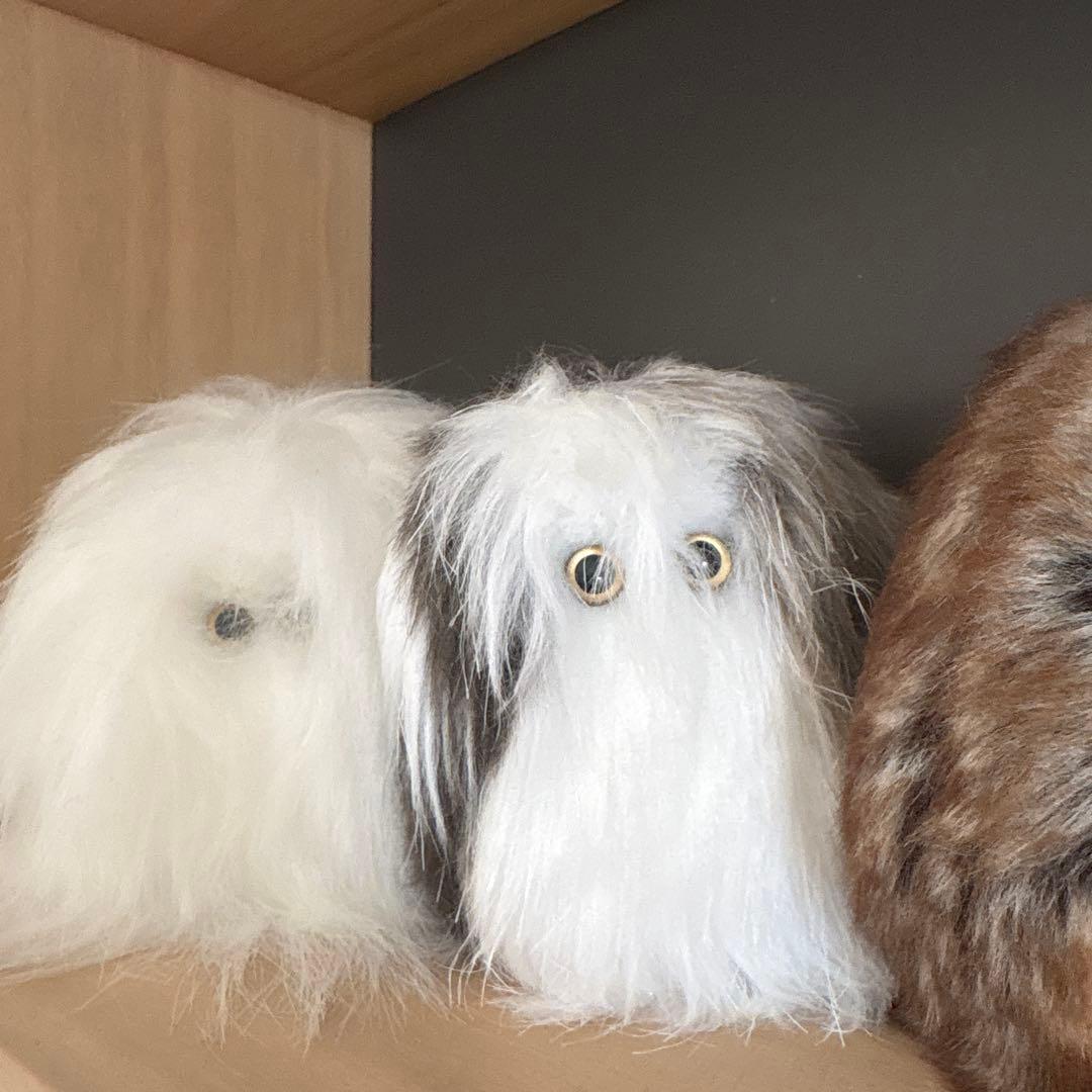 -光線- co-sen ぬいぐるみ セット販売