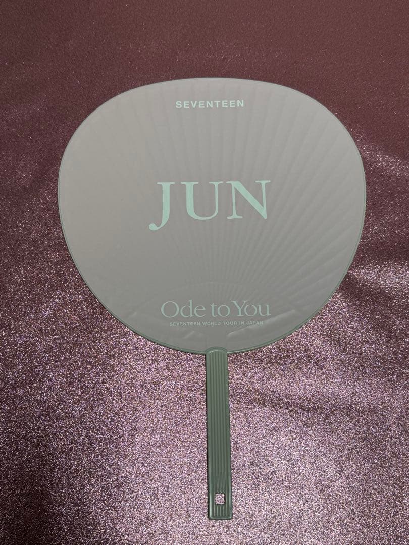 ジュン うちわ 9枚セット