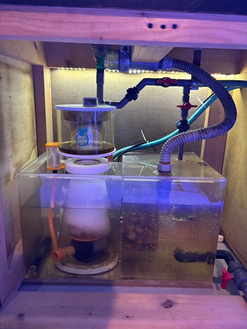 オーバーフロー水槽 フルセット　(生体含まず)