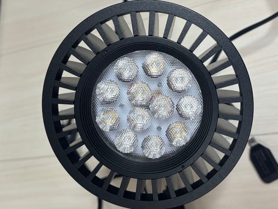 Grassy Ledio RX122s Deep ②