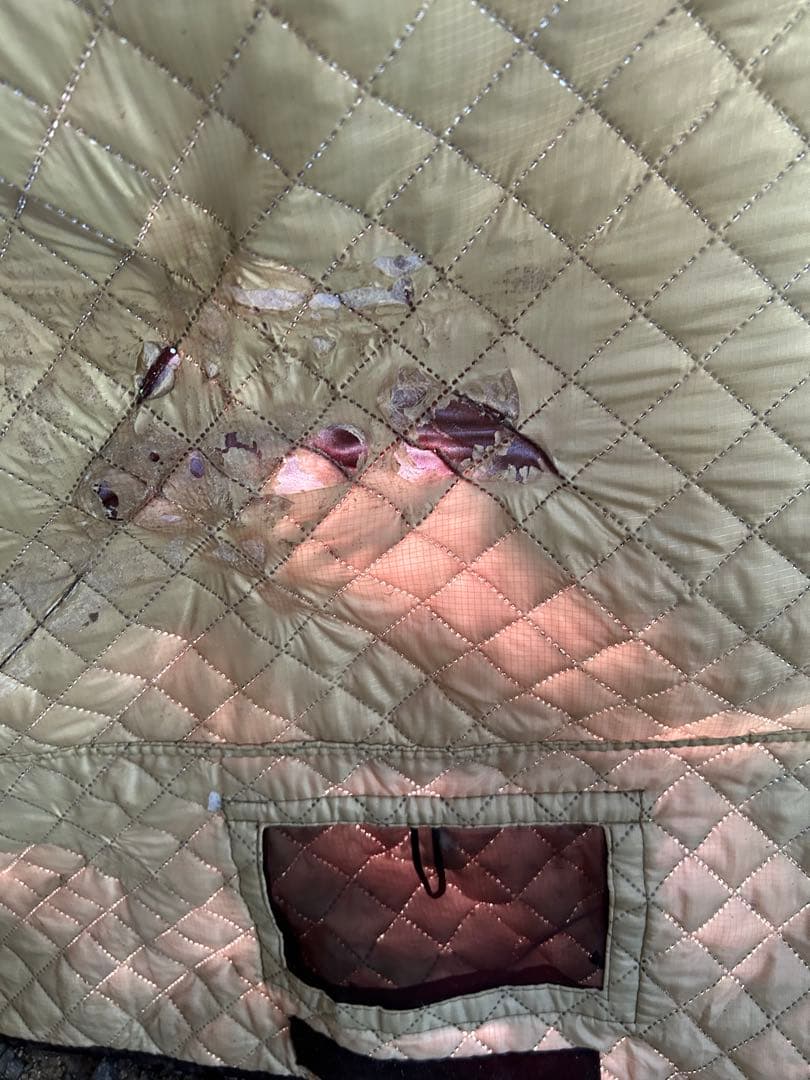 モルジュマックス　テントサウナ