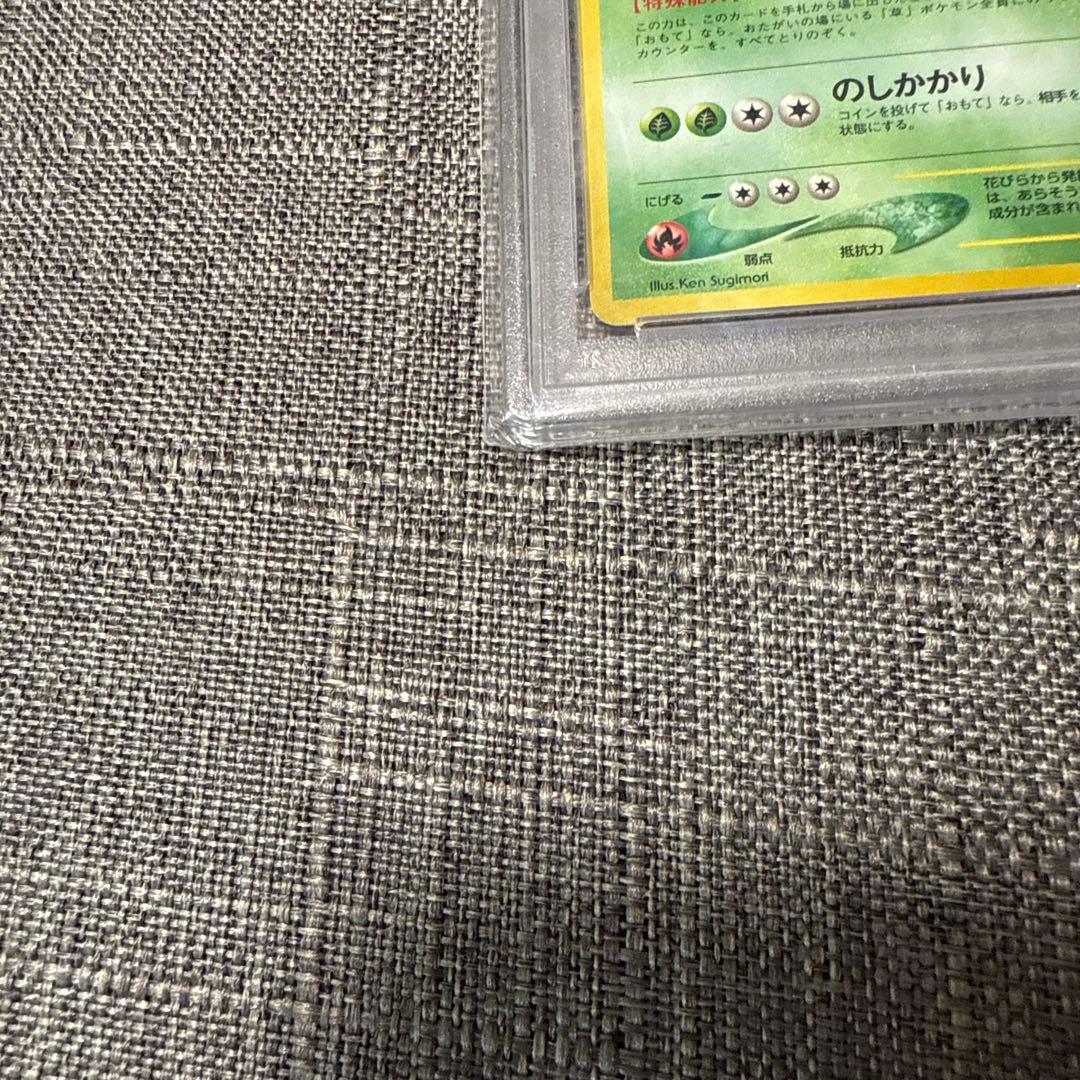 第二世代　御三家　メガニウム　バクフーン　オーダイル　旧裏　psa10 ポケカ