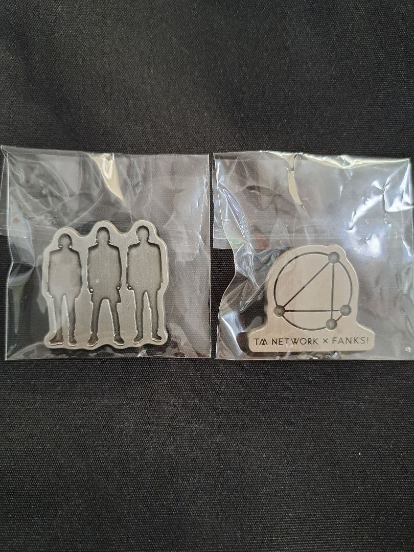 希少　TM NETWORK ４０周年ピンバッジ　ガチャ　２個セット