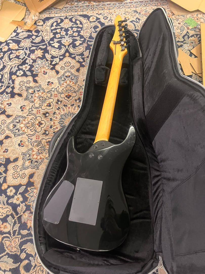 Aria Pro2 Magna Series エレキギター モスティテケース付き