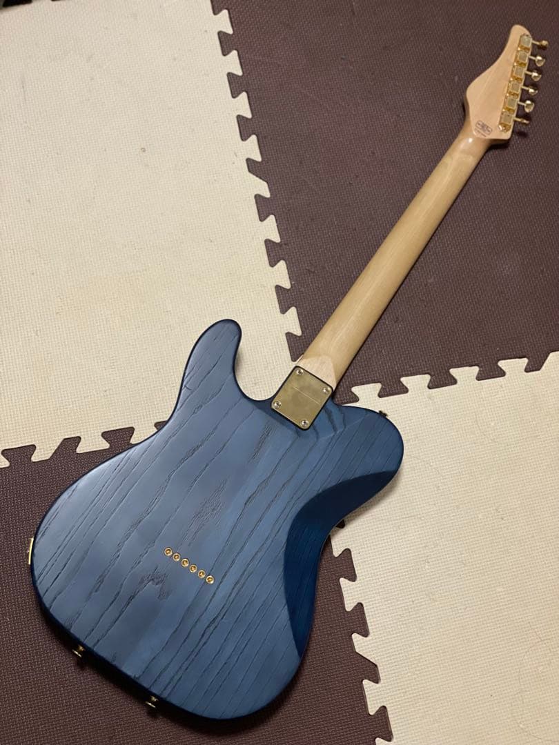 ギター SCHECTER / JAPAN / PS-PT-SP/PBT/R