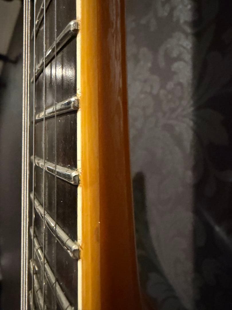 ESP ホライゾンギター　ハードケース付き